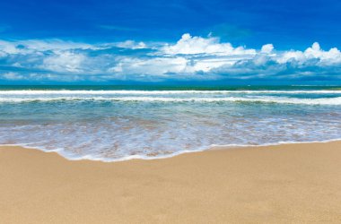 plaj ve tropikal deniz