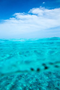 güzel tropik deniz 