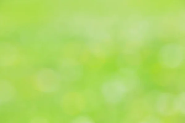 Grön suddig blad — Stockfoto