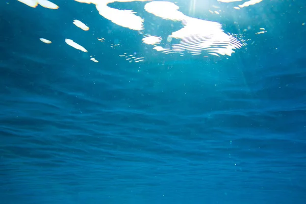 Tranquille scène sous-marine — Photo