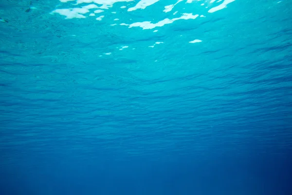 Tranquil underwater scene — Stock Photo, Image