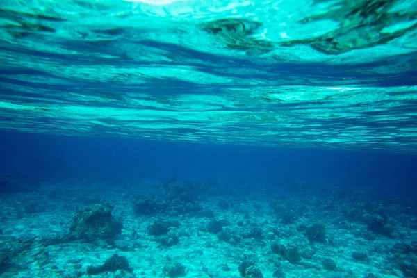 Underwater world landscape — Stock Photo, Image