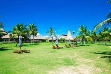 Hindistan cevizi hurma ağaçları ile Bahçe