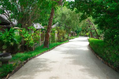 Palmiye ağaçları ile Bahçe