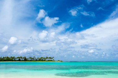 Maldivler Island beach ile