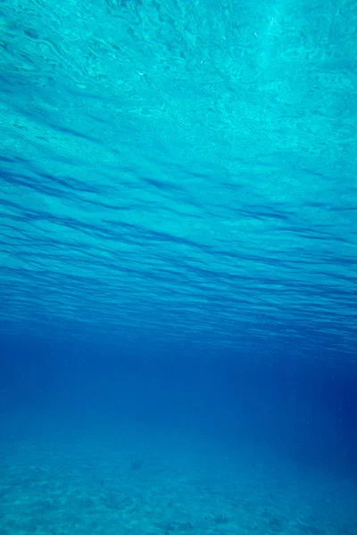 Tranquila escena submarina — Foto de Stock