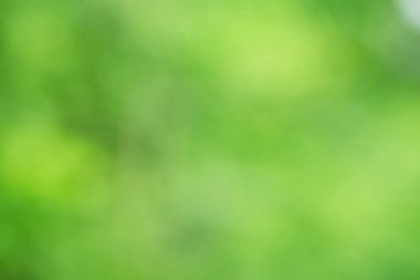 Yeşil bulanık şablonu