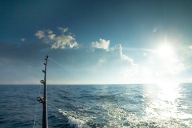 Okyanusta balık oltası