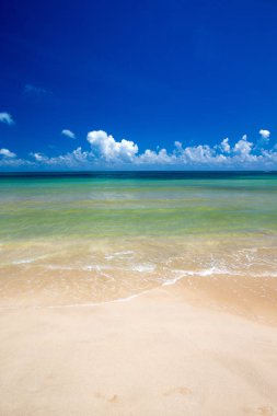 sri Lanka tropikal plaj