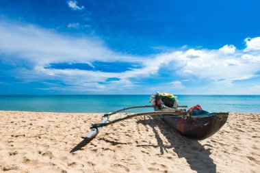 sri Lanka tropikal plaj