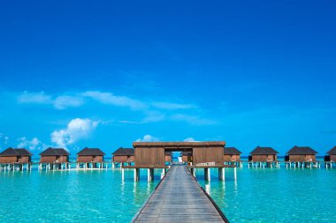 Güzel tropikal Maldivler ada