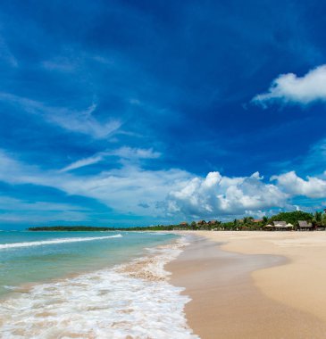 plaj ve tropikal deniz