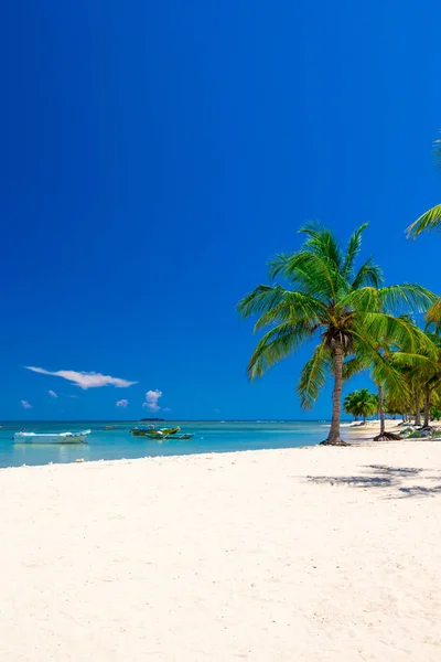 Tropisch strand met palmbomen — Stockfoto