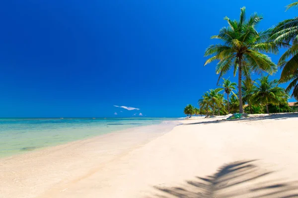 Playa tropical con palmeras — Foto de Stock