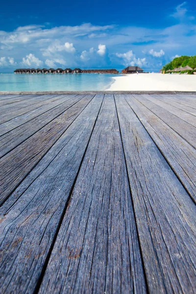 Vacker tropisk Maldiverna ö — Stockfoto