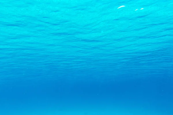 Nyugodt víz alatti táj — Stock Fotó