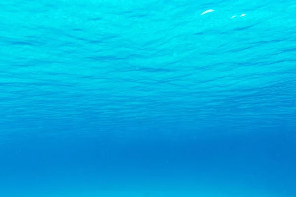 Tranquil underwater scene — Stock Photo, Image