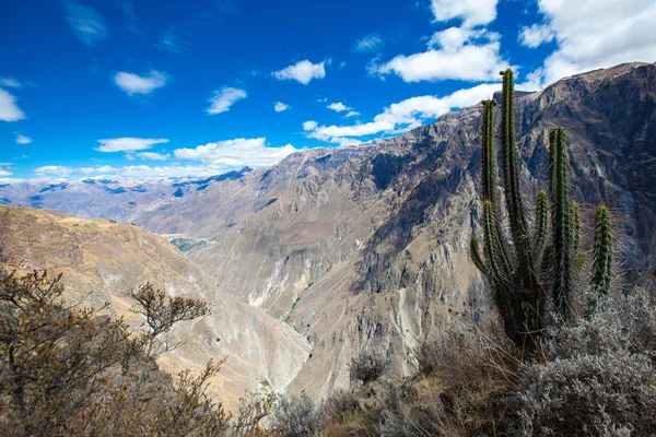 Arequipa güzel manzara — Stok fotoğraf