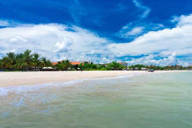 plaj ve tropikal deniz