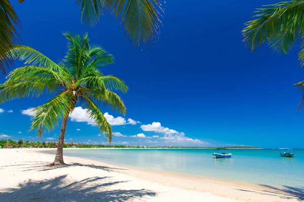 Playa y mar tropical — Foto de Stock