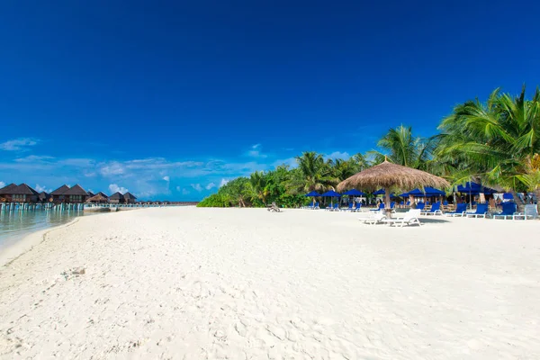 Maldivler Island beach ile