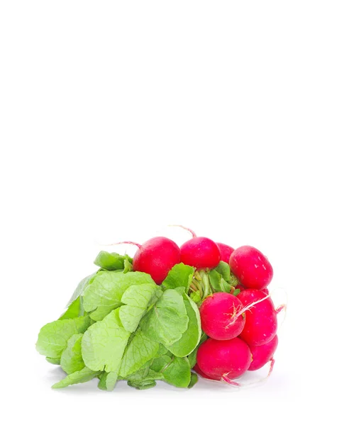 Pile of Fresh radishes — Stock Photo, Image