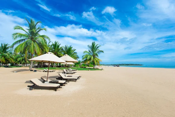 plaj ve tropikal deniz