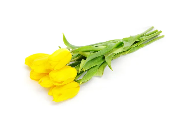 Gul tulipanbuket - Stock-foto