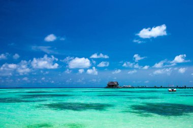 tropikal Maldivler plaj