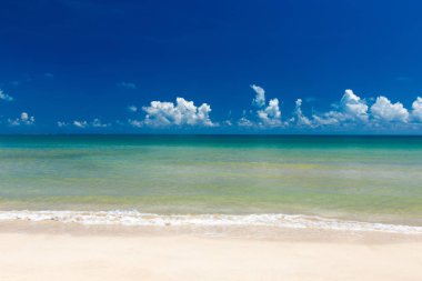 plaj ve tropikal deniz