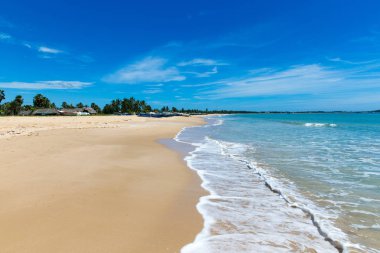 plaj ve tropikal deniz
