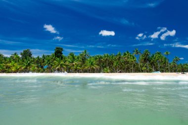 Maldivler 'deki tropik plaj