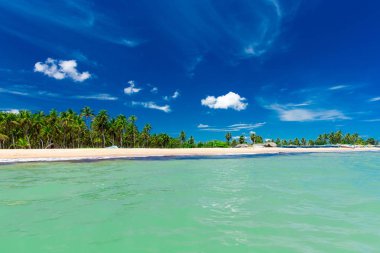plaj ve tropikal deniz