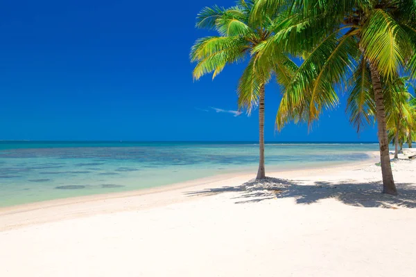 Playa y mar tropical — Foto de Stock