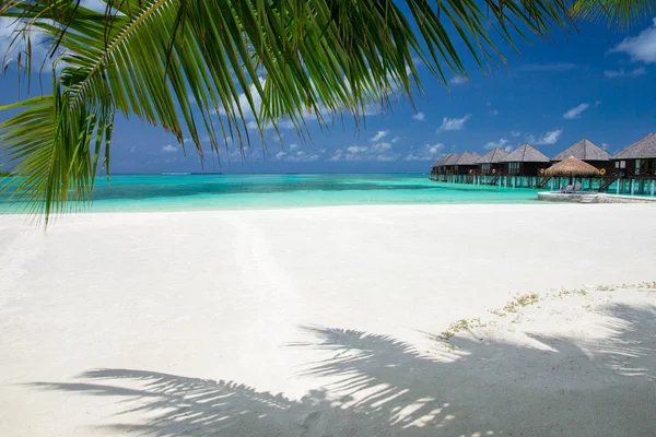 Spiaggia con baracche in legno — Foto Stock