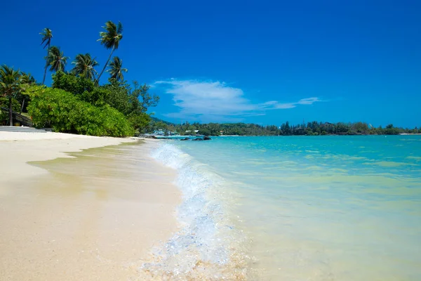 Playa tropical en Sri Lanka — Foto de Stock