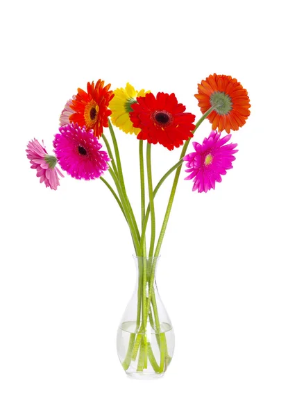 Λουλούδια Ζέρμπερες σε γυάλινο βάζο — Φωτογραφία Αρχείου