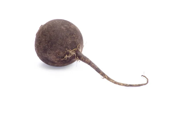 Beet root isolated — Stock Photo, Image