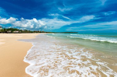 plaj ve tropikal deniz