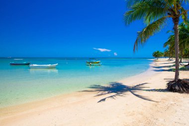 plaj ve tropikal deniz