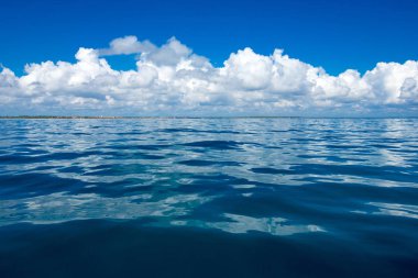 Maldivler 'deki tropik plaj 