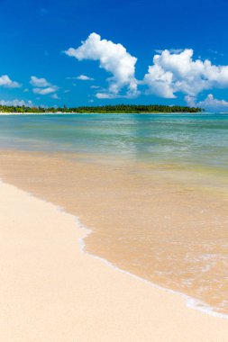plaj ve tropikal deniz