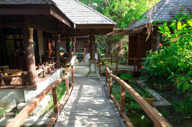 Hindistan cevizi hurma ağaçları ile Bahçe