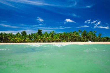 plaj ve tropikal deniz
