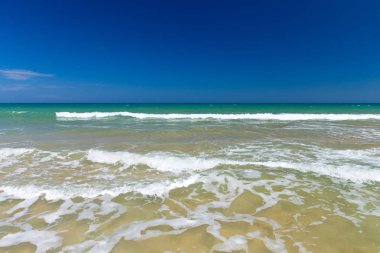 plaj ve tropikal deniz