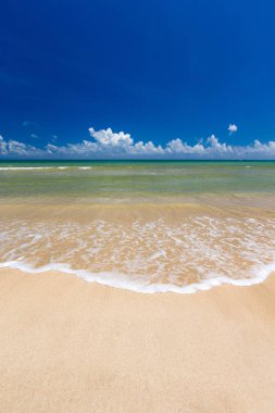 sri Lanka tropikal plaj