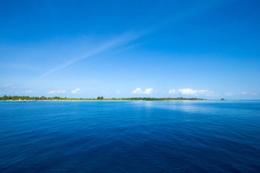 Maldivler 'deki tropik plaj 