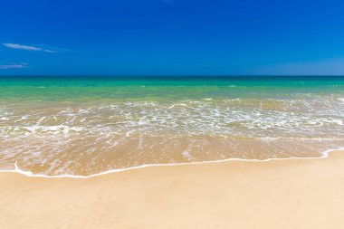 plaj ve tropikal deniz