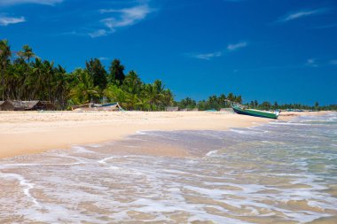 plaj ve tropikal deniz