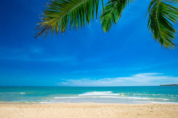 Tropical sea under blue sky — Stock Photo, Image